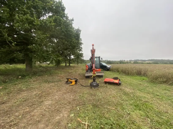 Arborist Norwich