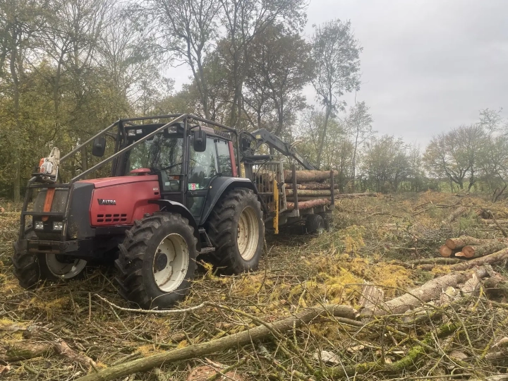 Tree Surgeon Norfolk