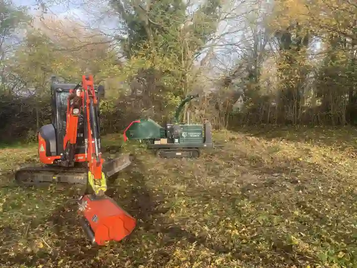 Tree Management Norfolk