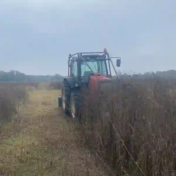 Vegetation Management Norwich