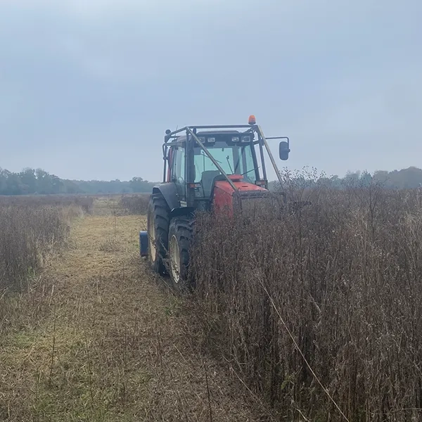 Vegetation Management Norwich
