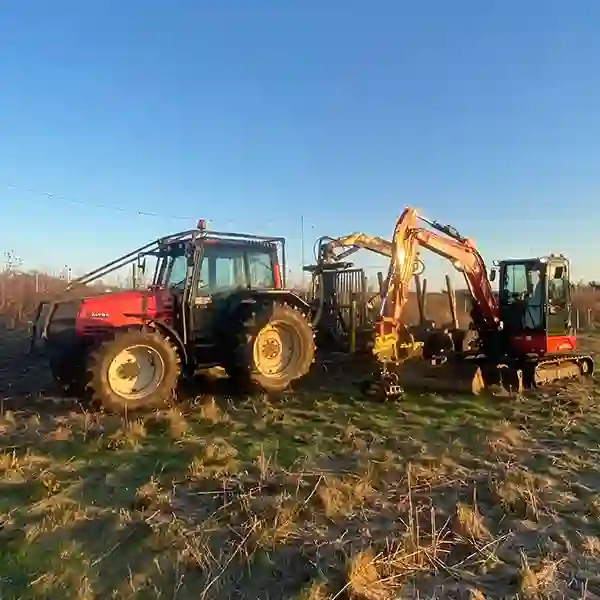 Vegetation Management Norwich