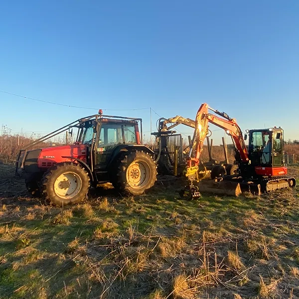 Vegetation Management Norwich